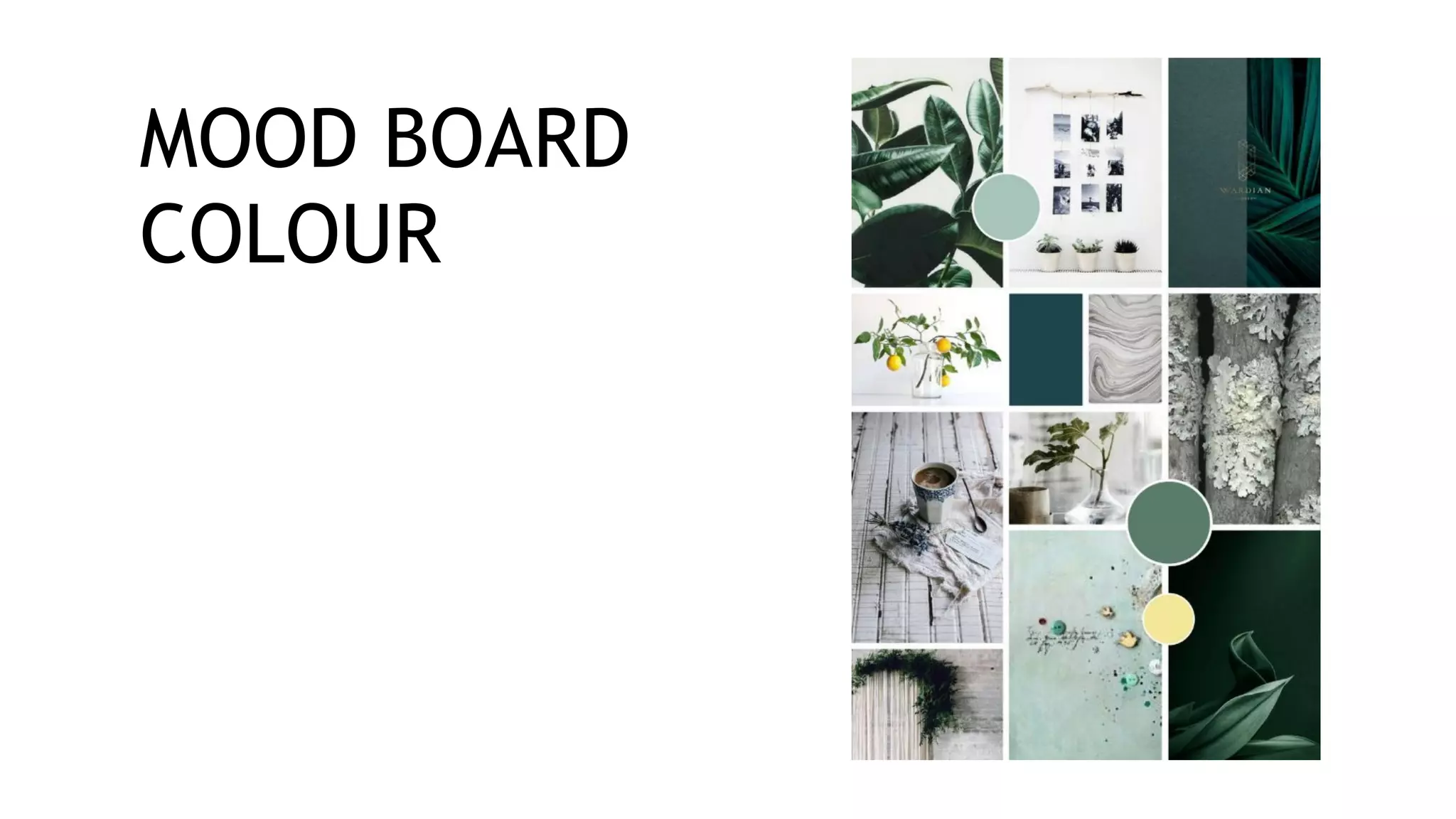 MOOD BOARD
COLOUR