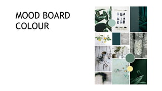 MOOD BOARD
COLOUR
 