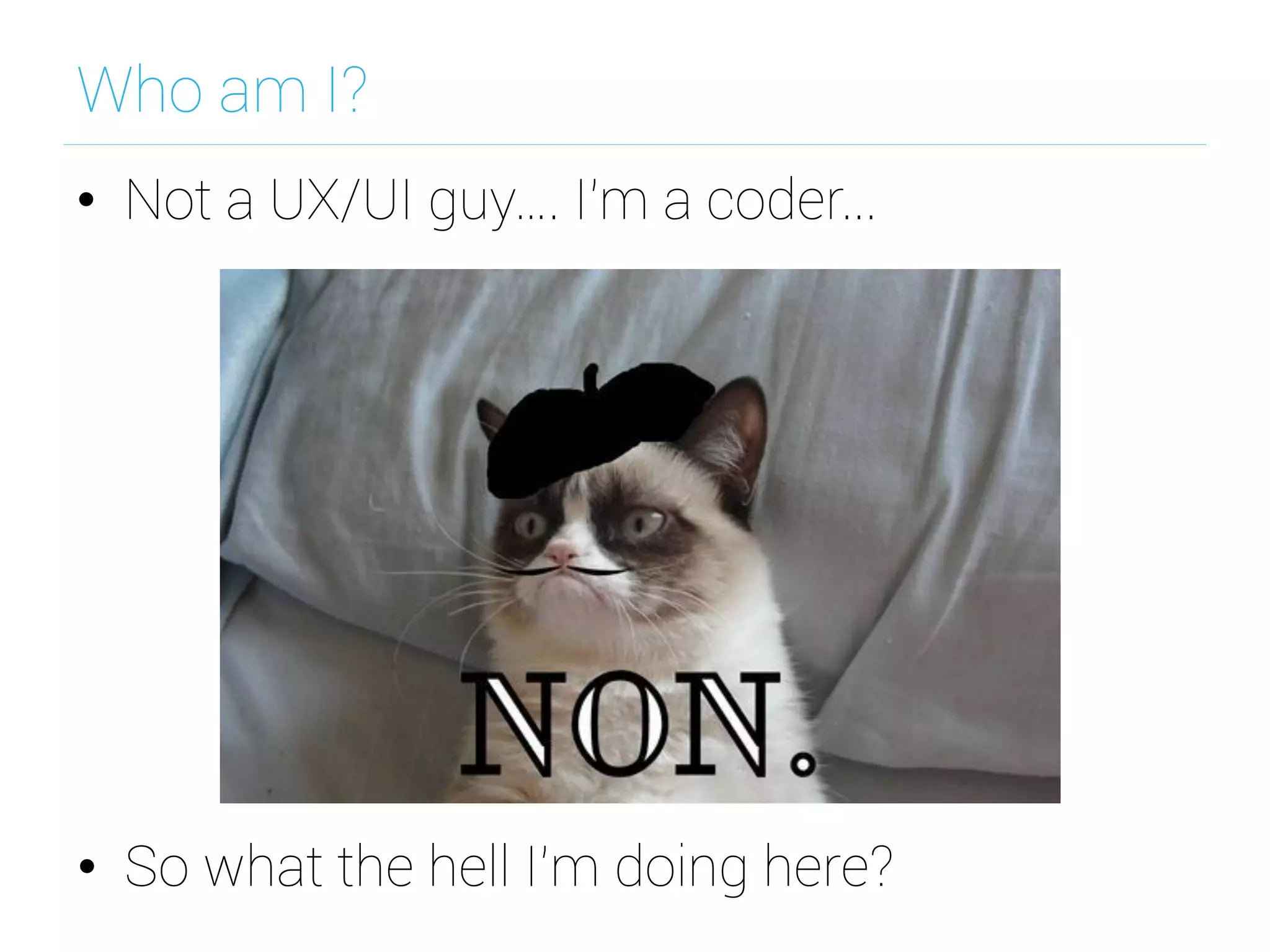 Who am I?
•  Not a UX/UI guy…. I'm a coder...
•  So what the hell I’m doing here?
 