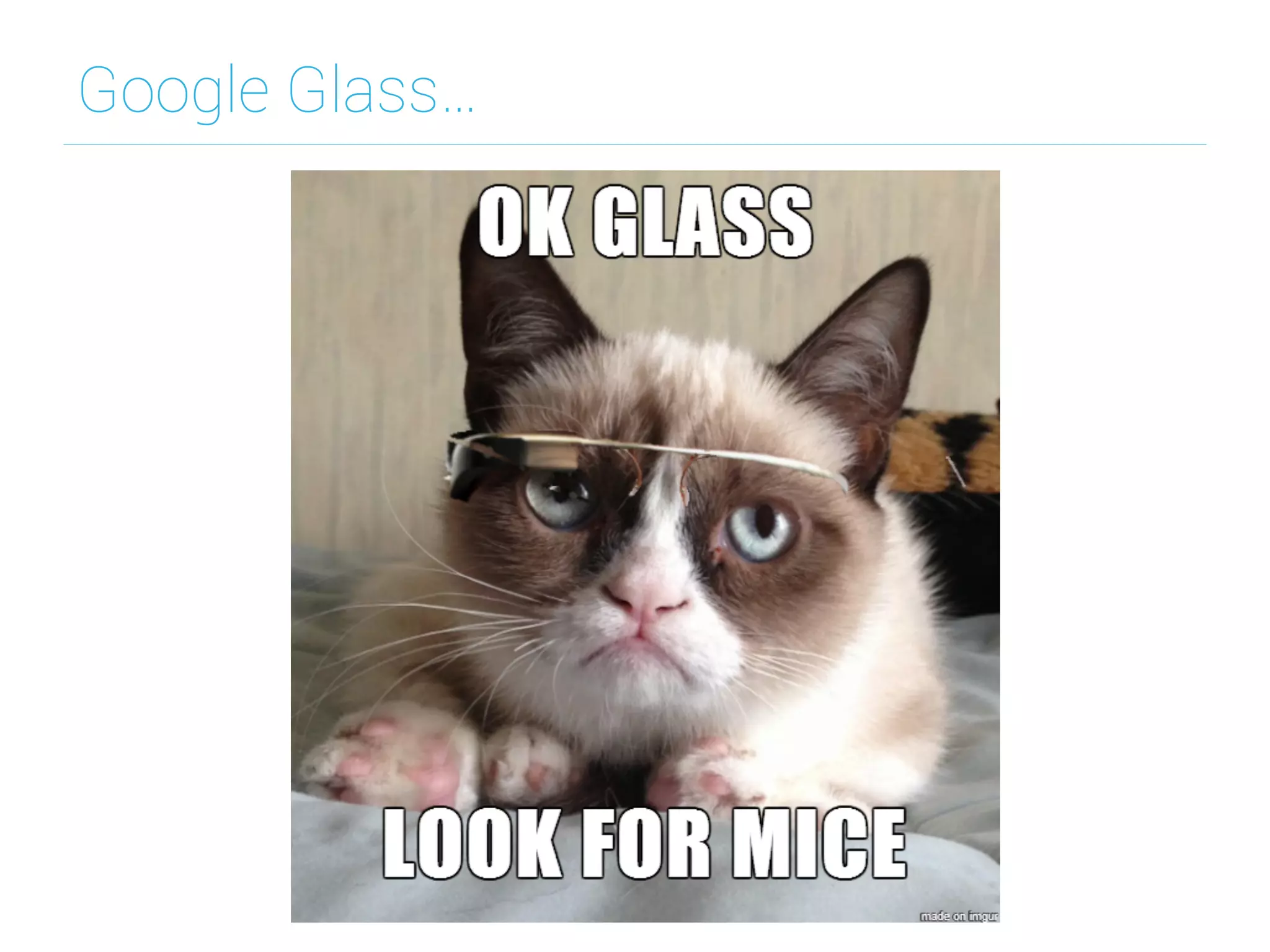 Google Glass…
 