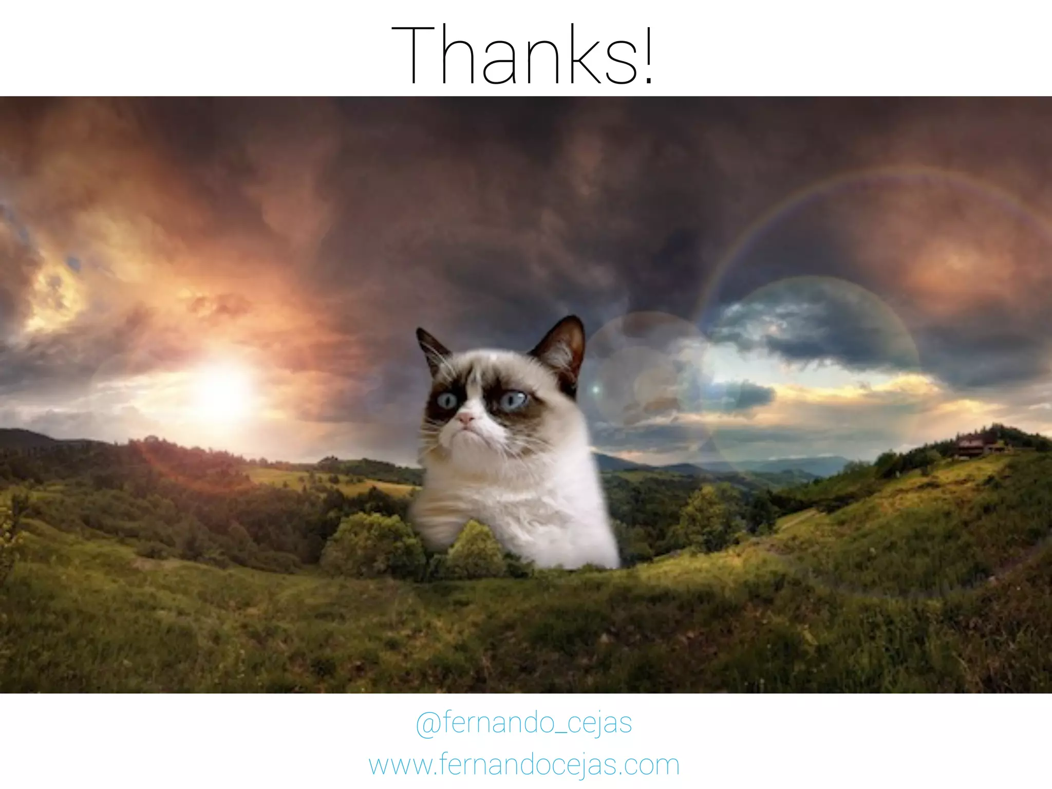 Thanks!
@fernando_cejas
www.fernandocejas.com
 