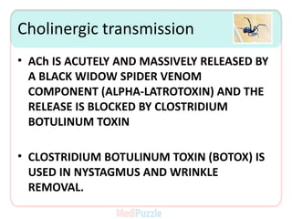 ANS-_ANS_Intro.pdf
