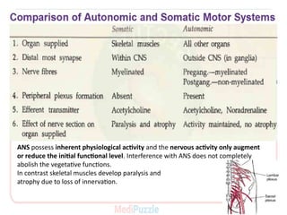 ANS-_ANS_Intro.pdf