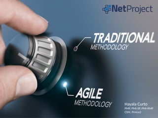 Apresentação NetProject 2021