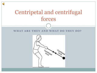 What are they and what do they do? Centripetal and centrifugal forces 