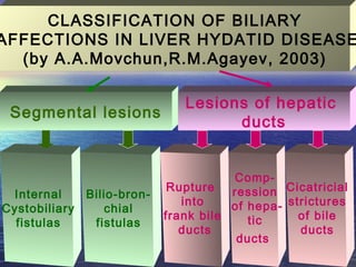 CLASSIFICATION OF BILIARY
AFFECTIONS IN LIVER HYDATID DISEASE
(by A.A.Movchun,R.M.Agayev, 2003)
Segmental lesions
Lesions of hepatic
ducts
Internal
Cystobiliary
fistulas
Bilio-bron-
chial
fistulas
Rupture
into
frank bile
ducts
Comp-
ression
of hepa-
tic
ducts
Cicatricial
strictures
of bile
ducts
 