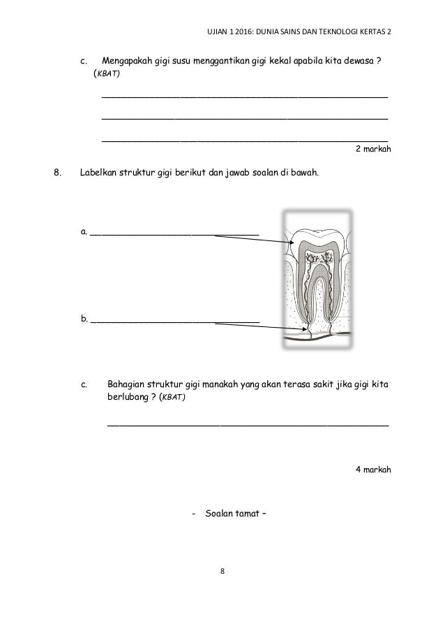 Dunia Sains dan Teknologi Tahun 3 Ujian 1 Kertas 2 2016