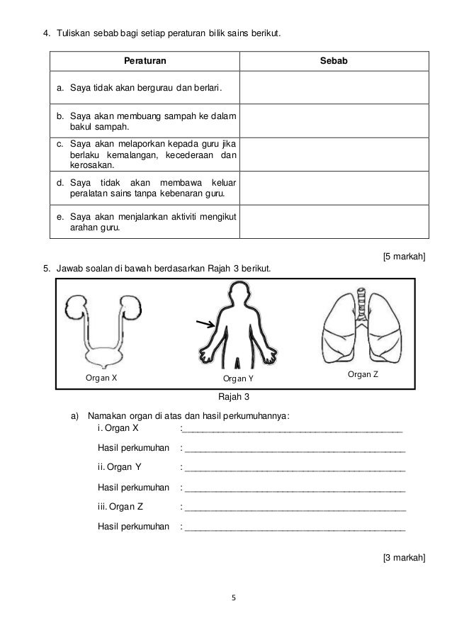 Soalan Sains Tahun 4 Perkumuhan - 11 Descargar