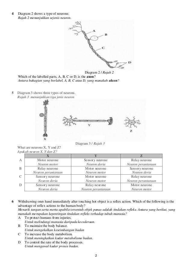 Soalan Dan Jawapan Sains Tingkatan 1 - Kuora v