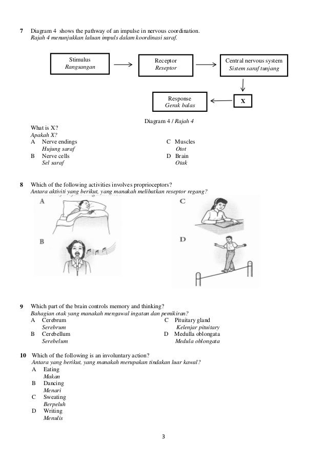 Ujian bulanan 1 sains tingkatan 4 (soalan dan jawapan)