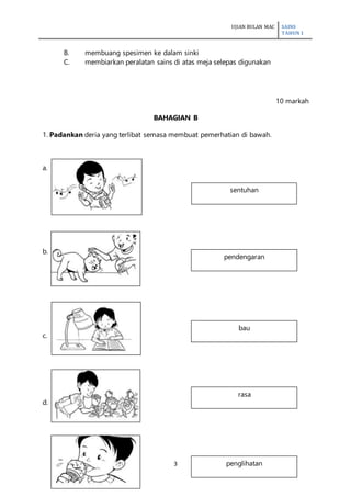 UJIAN BULAN MAC SAINS
TAHUN 1
3
B. membuang spesimen ke dalam sinki
C. membiarkan peralatan sains di atas meja selepas digunakan
10 markah
BAHAGIAN B
1. Padankan deria yang terlibat semasa membuat pemerhatian di bawah.
a.
b.
c.
d.
sentuhan
pendengaran
bau
rasa
penglihatan
 