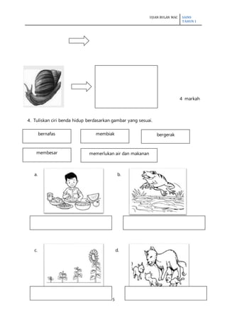 UJIAN BULAN MAC SAINS
TAHUN 1
5
4 markah
4. Tuliskan ciri benda hidup berdasarkan gambar yang sesuai.
a. b.
c. d.
bernafas membiak
memerlukan air dan makananmembesar
bergerak
 