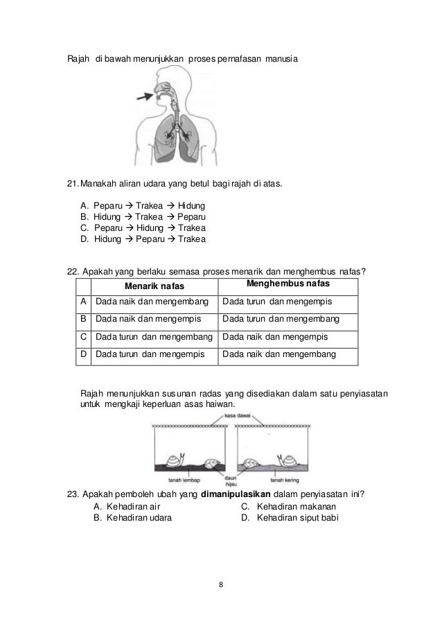 Ujian Mac sains tahun 4 2019