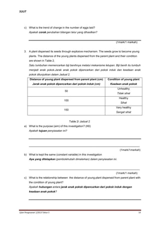 SULIT

c) What is the trend of change in the number of eggs laid?
Apakah corak perubahan bilangan telur yang dihasilkan?

(1mark/1 markah)

3. A plant dispersed its seeds through explosive mechanism. The seeds grow to become young
plants. The distance of the young plants dispersed from the parent plant and their condition
are shown in Table 2.
Satu tumbuhan memencarkan biji benihnya melalui mekanisme letupan. Biji benih itu tumbuh
menjadi anak pokok.Jarak anak pokok dipencarkan dari pokok induk dan keadaan anak
pokok ditunjukkan dalam Jadual 2.
Distance of young plant dispersed from parent plant (cm)

Condition of young plant

Jarak anak pokok dipencarkan dari pokok induk (cm)

Keadaan anak pokok
Unhealthy

50

Tidak sihat
Healthy

100

Sihat
Very healthy

150

Sangat sihat

Table 2/ Jadual 2
a) What is the purpose (aim) of this investigation? (K6)
Apakah tujuan penyiasatan ini?

__________________________________________________________________________
(1mark/1markah)
b) What is kept the same (constant variable) in this investigation
Apa yang ditetapkan (pembolehubah dimalarkan) dalam penyiasatan ini.

__________________________________________________________________________
(1mark/1 markah)
c) What is the relationship between the distance of young plant dispersed from parent plant with
the condition of young plant?
Apakah hubungan antara jarak anak pokok dipencarkan dari pokok induk dengan
keadaan anak pokok?

Ujian Pengesanan 1/2013 Tahun 5

14

 
