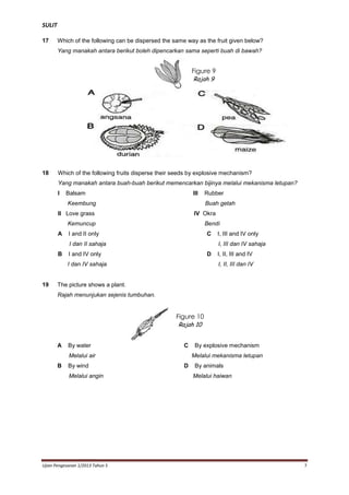 SULIT
17

Which of the following can be dispersed the same way as the fruit given below?
Yang manakah antara berikut boleh dipencarkan sama seperti buah di bawah?

Figure 9
Rajah 9

18

Which of the following fruits disperse their seeds by explosive mechanism?
Yang manakah antara buah-buah berikut memencarkan bijinya melalui mekanisma letupan?
I

Balsam

III

Keembung

Buah getah

II Love grass

IV Okra

Kemuncup
A

Rubber

Bendi

I and II only

C

I dan II sahaja
B

I, III dan IV sahaja

I and IV only

D

I dan IV sahaja

19

I, III and IV only

I, II, III and IV
I, II, III dan IV

The picture shows a plant.
Rajah menunjukan sejenis tumbuhan.

Figure 10
Rajah 10
A

By water

C

Melalui air
B

By wind
Melalui angin

Ujian Pengesanan 1/2013 Tahun 5

By explosive mechanism
Melalui mekanisma letupan

D

By animals
Melalui haiwan

7

 