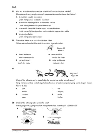 SULIT
22

Why is it so important to prevent the extinction of plant and animal species?
Mengapa pentingnya untuk mencegah kepupusan spesies tumbuhan dan haiwan?
A

to maintain a stable ecosystem
Untuk mengekalkan kestabilan ekosistem

B

to increase the temperature of the earth’s surface
Untuk meningkatkan suhu permukaan bumi

C to replenish the carbon dioxide supply in the environment
Untuk menambahkan keperluan karbon dioksida kepada alam sekitar
D to prevent pollution
Untuk mengelakan pencemaran
23

The animal shown is an omnivore because it eats
Haiwan yang ditunjukan ialah sejenis omnivore kerana ia makan

Figure 11
Rajah 11
A

insect and worm

B

serangga dan cacing

worm and fruit
cacing dan buah

C fruit and nectar

D nectar and leaves

buah dan madu

madu dan daun

24

Figure 12
Rajah 12
Which of the following can be classified in the same group as the animals above?
Yang manakah antara berikut dapat diklasifikasikan di dalam kumpulan yang sama dengan haiwanhaiwan di atas
A

cow

C

lembu
B

serigala

chicken

D

ayam

25

fox

giraffe
zirafah

Which of the following is the shelter for bats?
Antara yang berikut, yang manakah merupakan tempat perlindungan bagi kelawar?
A

C

B

D

Ujian Pengesanan 1/2013 Tahun 5

9

 