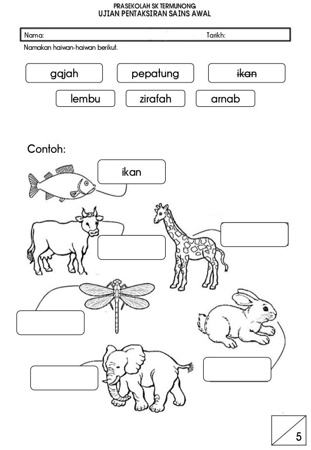 Ujian Pentaksiran Bertulis Sains Awal