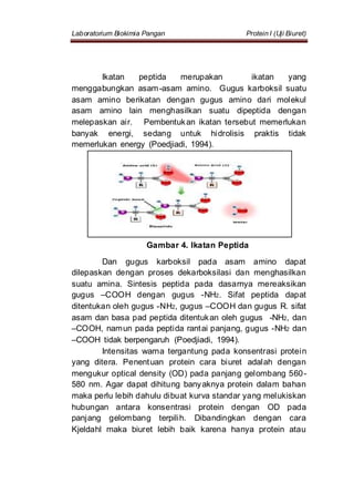 Laboratorium Biokimia Pangan Protein I (Uji Biuret)
Ikatan peptida merupakan ikatan yang
menggabungkan asam-asam amino. Gugus karboksil suatu
asam amino berikatan dengan gugus amino dari molekul
asam amino lain menghasilkan suatu dipeptida dengan
melepaskan air. Pembentukan ikatan tersebut memerlukan
banyak energi, sedang untuk hidrolisis praktis tidak
memerlukan energy (Poedjiadi, 1994).
Gambar 4. Ikatan Peptida
Dan gugus karboksil pada asam amino dapat
dilepaskan dengan proses dekarboksilasi dan menghasilkan
suatu amina. Sintesis peptida pada dasarnya mereaksikan
gugus –COOH dengan gugus -NH2. Sifat peptida dapat
ditentukan oleh gugus -NH2, gugus –COOH dan gugus R. sifat
asam dan basa pad peptida ditentukan oleh gugus -NH2, dan
–COOH, namun pada peptida rantai panjang, gugus -NH2 dan
–COOH tidak berpengaruh (Poedjiadi, 1994).
Intensitas warna tergantung pada konsentrasi protein
yang ditera. Penentuan protein cara biuret adalah dengan
mengukur optical density (OD) pada panjang gelombang 560-
580 nm. Agar dapat dihitung banyaknya protein dalam bahan
maka perlu lebih dahulu dibuat kurva standar yang melukiskan
hubungan antara konsentrasi protein dengan OD pada
panjang gelombang terpilih. Dibandingkan dengan cara
Kjeldahl maka biuret lebih baik karena hanya protein atau
 
