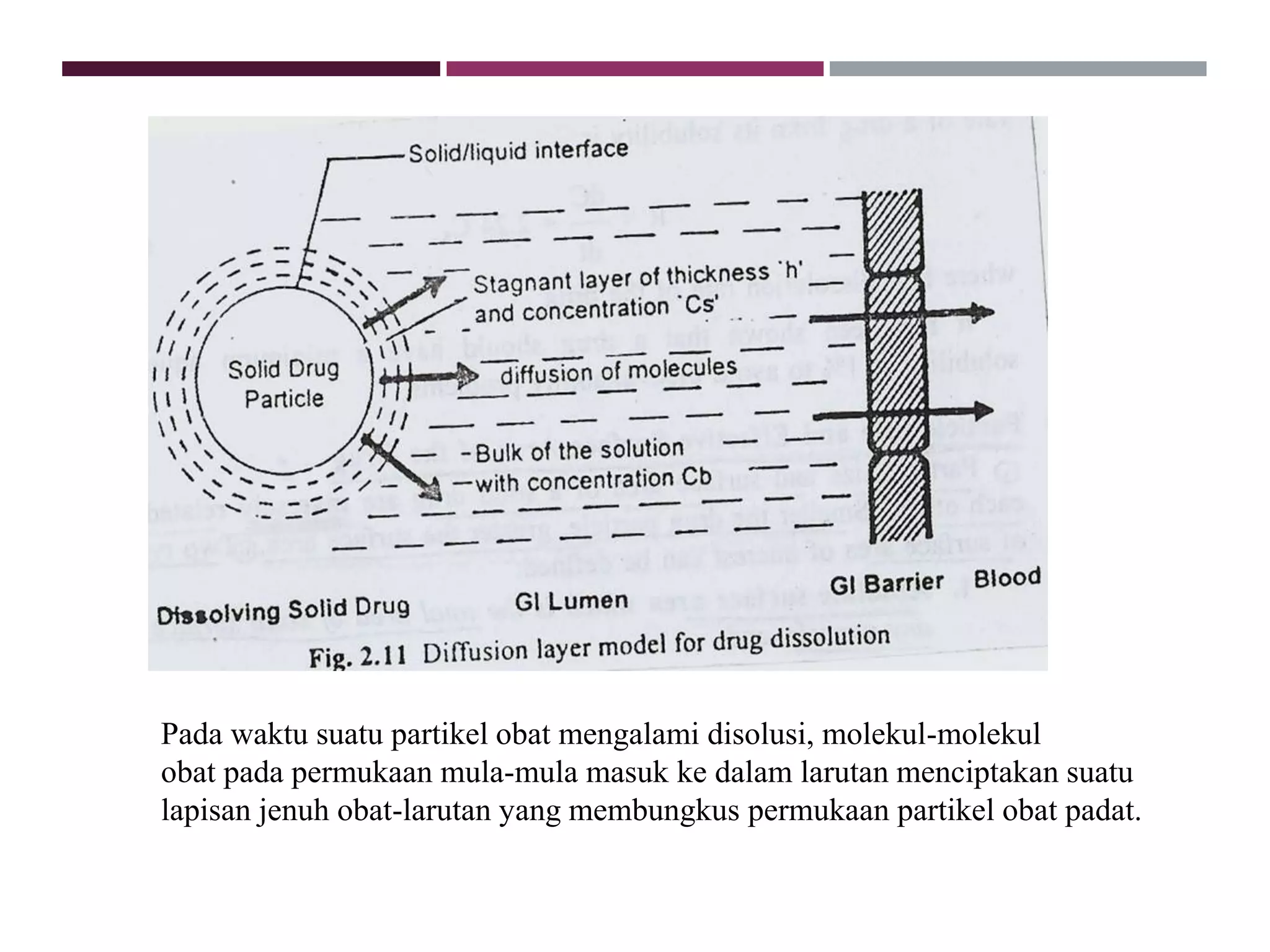 Pada waktu suatu partikel obat mengalami disolusi, molekul-molekul
obat pada permukaan mula-mula masuk ke dalam larutan menciptakan suatu
lapisan jenuh obat-larutan yang membungkus permukaan partikel obat padat.
 