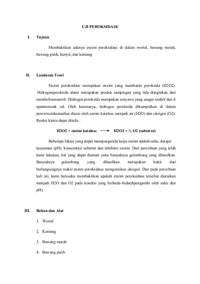 Laporan Enzim Katalase