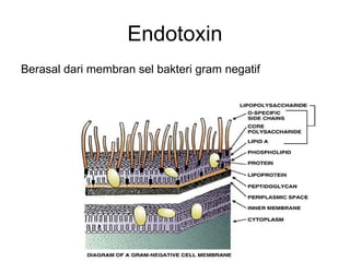 UJI PIROGEN (LAL) dalam produksi sediaan steril | PPT