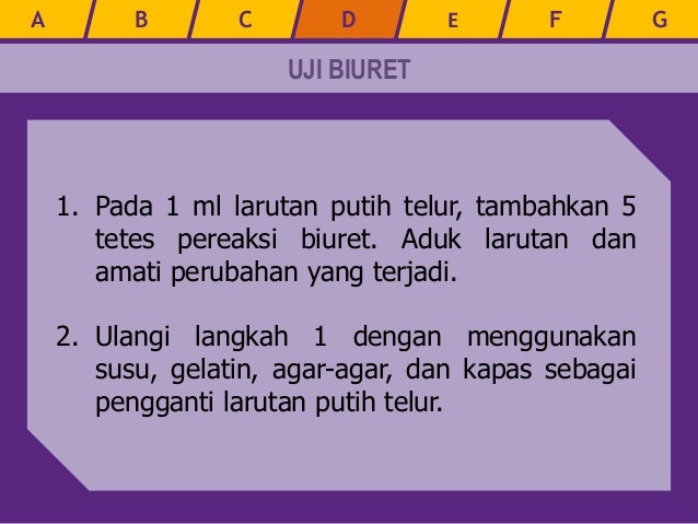 Praktikum Kimia Uji Protein