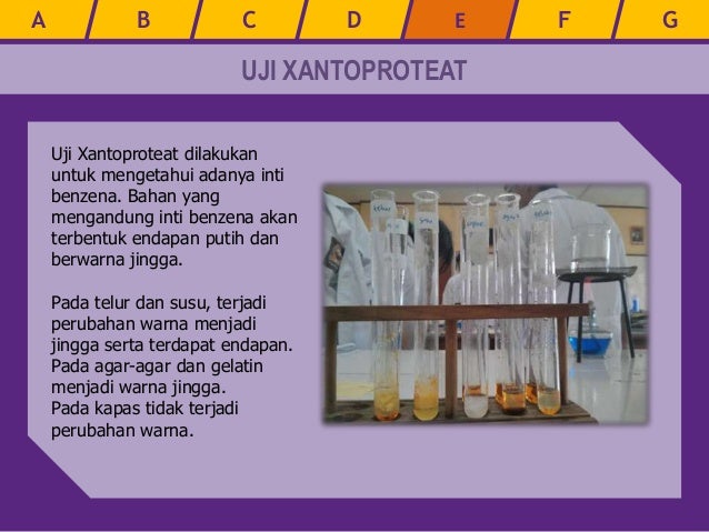Praktikum Kimia Uji Protein