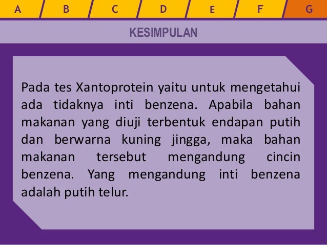 Praktikum Kimia Uji Protein