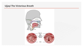 Ujjayi The Victorious Breath Pptx Ujjayi The Victorious Breath Pptx