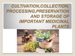 CULTIVATION,COLLECTION,
PROCESSING,PRESERVATION
AND STORAGE OF
IMPORTANT MEDICINAL
PLANTS
 