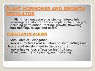 PLANT HORMONES AND GROWTH
REGULATOR
Plant hormones are physiological intercellular
messengers that control the complete plant lifecycle,
including germination, rooting, growth, flowering,
fruit ripening, foliage and death.
FUNCTION OF AXUINS
 Stimulates cell elongation
 Auxin stimulates root initiation on stem cuttings and
lateral root development in tissue culture .
 Auxin has various effects on leaf fruit set,
development, and ripening, and flowering.
 