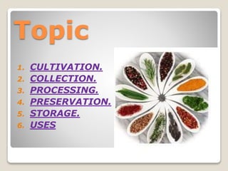 1. CULTIVATION.
2. COLLECTION.
3. PROCESSING.
4. PRESERVATION.
5. STORAGE.
6. USES
Topic
 