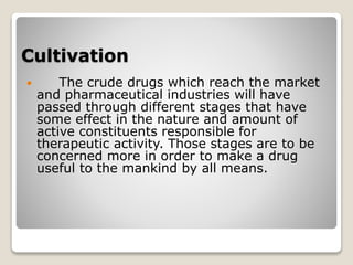 Cultivation
 The crude drugs which reach the market
and pharmaceutical industries will have
passed through different stages that have
some effect in the nature and amount of
active constituents responsible for
therapeutic activity. Those stages are to be
concerned more in order to make a drug
useful to the mankind by all means.
 