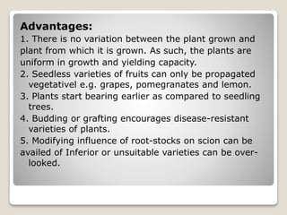Advantages:
1. There is no variation between the plant grown and
plant from which it is grown. As such, the plants are
uniform in growth and yielding capacity.
2. Seedless varieties of fruits can only be propagated
vegetativel e.g. grapes, pomegranates and lemon.
3. Plants start bearing earlier as compared to seedling
trees.
4. Budding or grafting encourages disease-resistant
varieties of plants.
5. Modifying influence of root-stocks on scion can be
availed of Inferior or unsuitable varieties can be over-
looked.
 