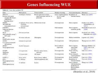 (Bramley et al., 2010)
Genes Influencing WUE
 