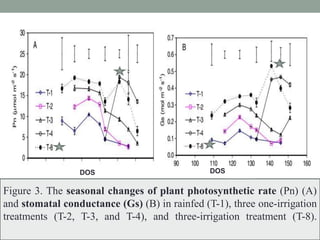 Figure 3. The seasonal changes of plant photosynthetic rate (Pn) (A)
and stomatal conductance (Gs) (B) in rainfed (T-1), three one-irrigation
treatments (T-2, T-3, and T-4), and three-irrigation treatment (T-8).
DOS DOS
 