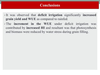 Conclusions
It was observed that deficit irrigation significantly increased
grain yield and WUE as compared to rainfed.
The increment in the WUE under deficit irrigation was
contributed by increased HI and resultant was that photosynthesis
and biomass were reduced by water stress during grain filling.
 