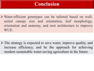 Conclusion
 The strategy is expected to save water, improve quality, and
increase efficiency, and be the approach for achieving
modern sustainable water-saving agriculture in the future.
 Water-efficient genotypes can be tailored based on well-
suited canopy size and orientation, leaf morphology,
orientation and anatomy, and root architecture to improve
WUE.
 