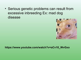Genetic technology | PPT