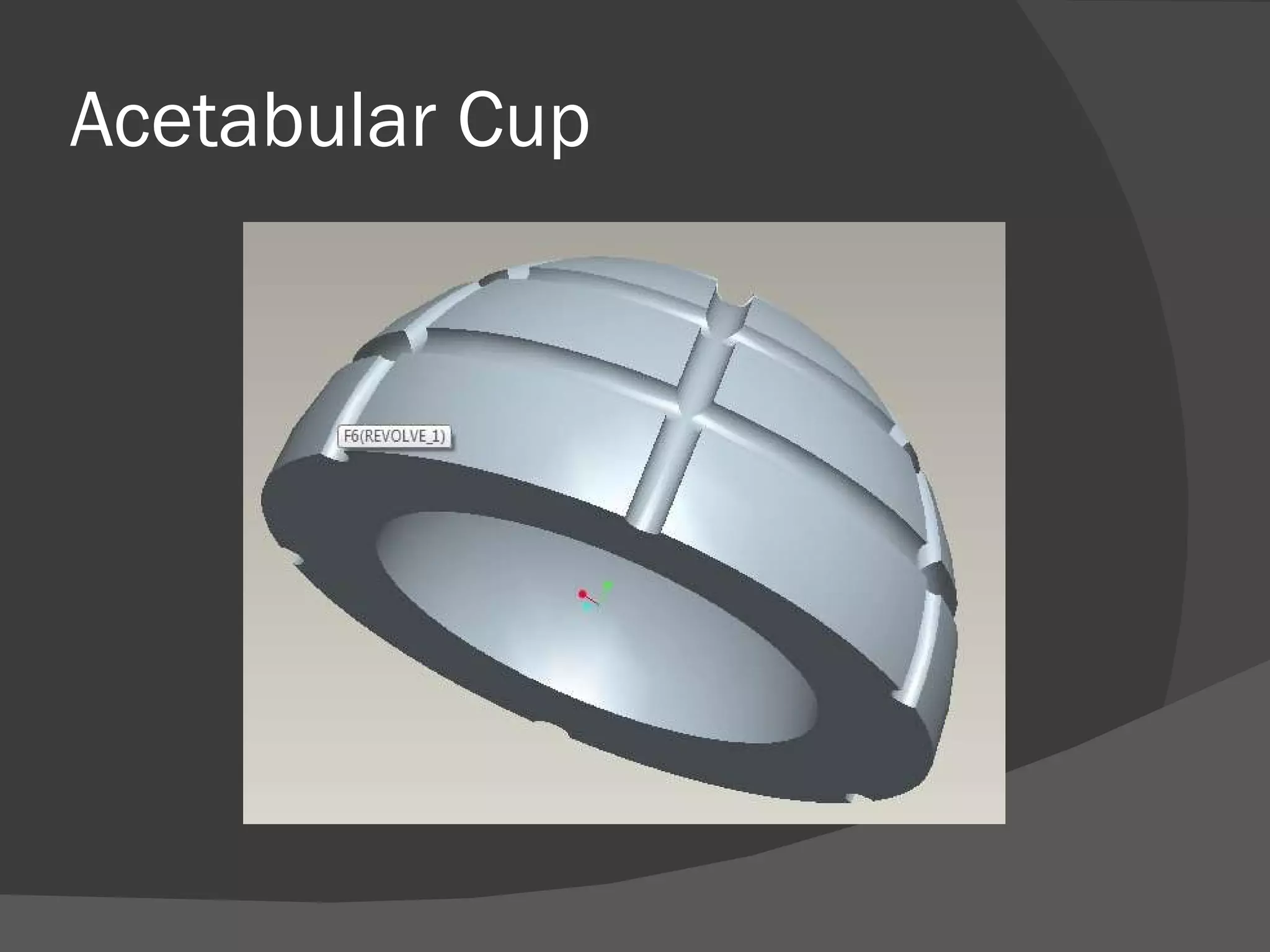Acetabular Cup 