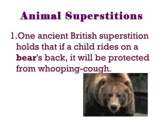 Animal Superstitions
1.One ancient British superstition
holds that if a child rides on a
bear's back, it will be protected
from whooping-cough.
 