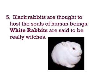 5. Black rabbits are thought to
host the souls of human beings.
White Rabbits are said to be
really witches.
 