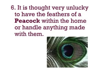 6. It is thought very unlucky
to have the feathers of a
Peacock within the home
or handle anything made
with them.
 