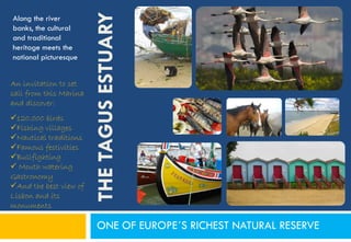 THE TAGUS ESTUARY
Along the river
banks, the cultural
and traditional
heritage meets the
national picturesque


An invitation to set
sail from this Marina
and discover:
120.000 birds
Fishing villages
Nautical traditions
Famous festivities
Bullfighting
 Mouth watering
Gastronomy
And the best view of
Lisbon and its
monuments

                          ONE OF EUROPE´S RICHEST NATURAL RESERVE
 