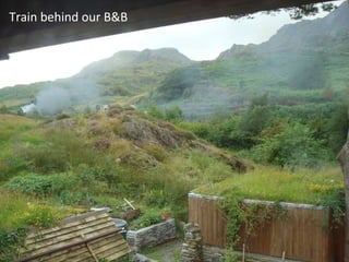 Train behind our B&B 