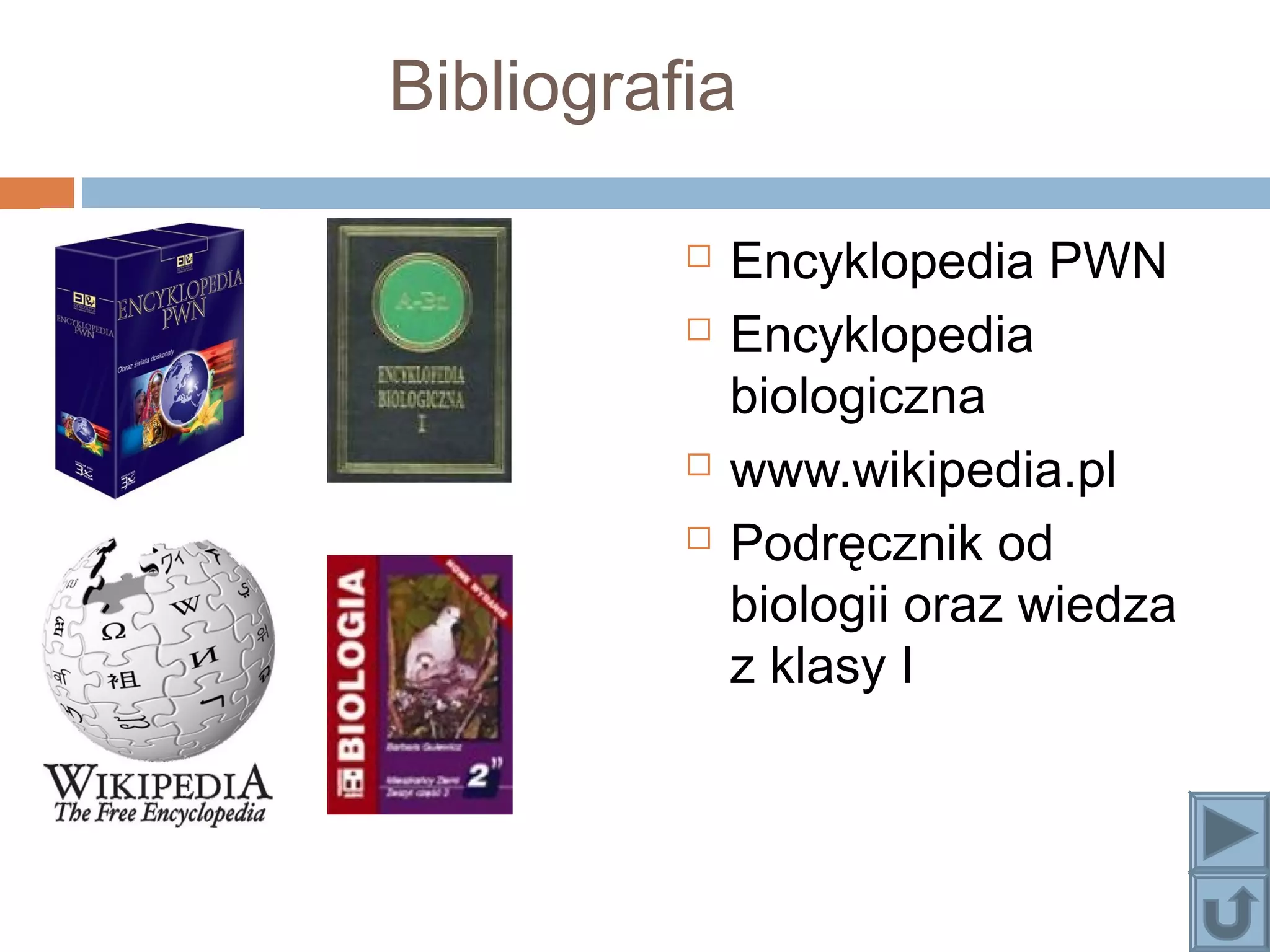 Układ ruchu | PPT