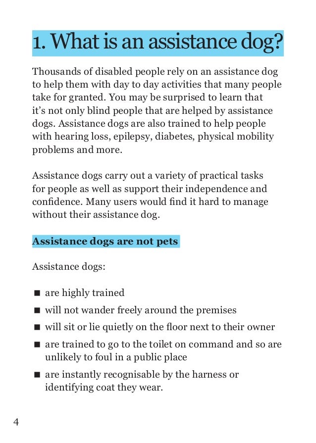Epilepsy Support Dogs Uk Epilepsy Support Dogs Uk