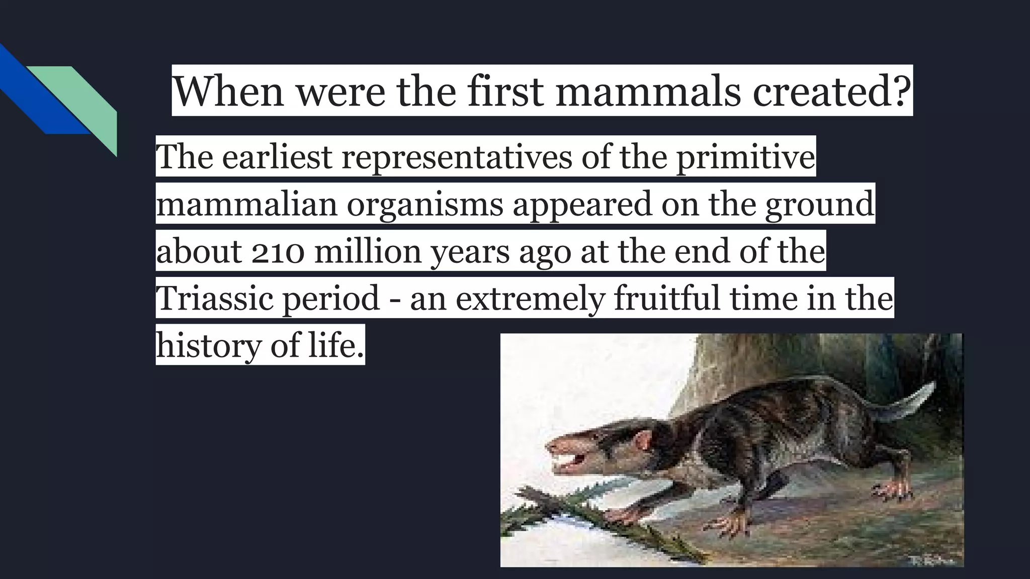 Evolution of mammals by Łukasz O | PDF