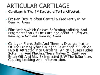  Cartilage Is The 1st Structure To Be Affected.
 Erosion Occurs,often Central & Frequently In Wt.
Bearing Areas.
 Fibrillation,which Causes Softening,splitting And
Fragmentation Of The Cartilage,occur In Both Wt.
Bearing & Non-wt. Bearing Areas.
 Collagen Fibres Split And There Is Disorganisation
Of The Proteoglycon Collagen Relationship Such As
H2o Is Attracted Into Cartilage, Which Causes Futher
Softening And Flaking.These Flakes Of Cartilage
Break Off And May Be Impacted B/W The Jt.Surfaces
Causing Locking And Inflammation.
 