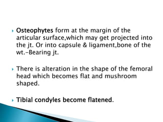  Osteophytes form at the margin of the
articular surface,which may get projected into
the jt. Or into capsule & ligament,bone of the
wt.-Bearing jt.
 There is alteration in the shape of the femoral
head which becomes flat and mushroom
shaped.
 Tibial condyles become flatened.
 